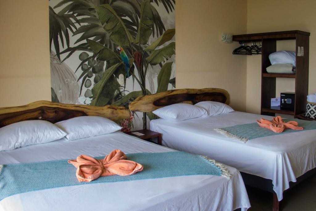 Sunshine Sanctuary Boutique Jungle Lodge มอนเตซูมา ภายนอก รูปภาพ
