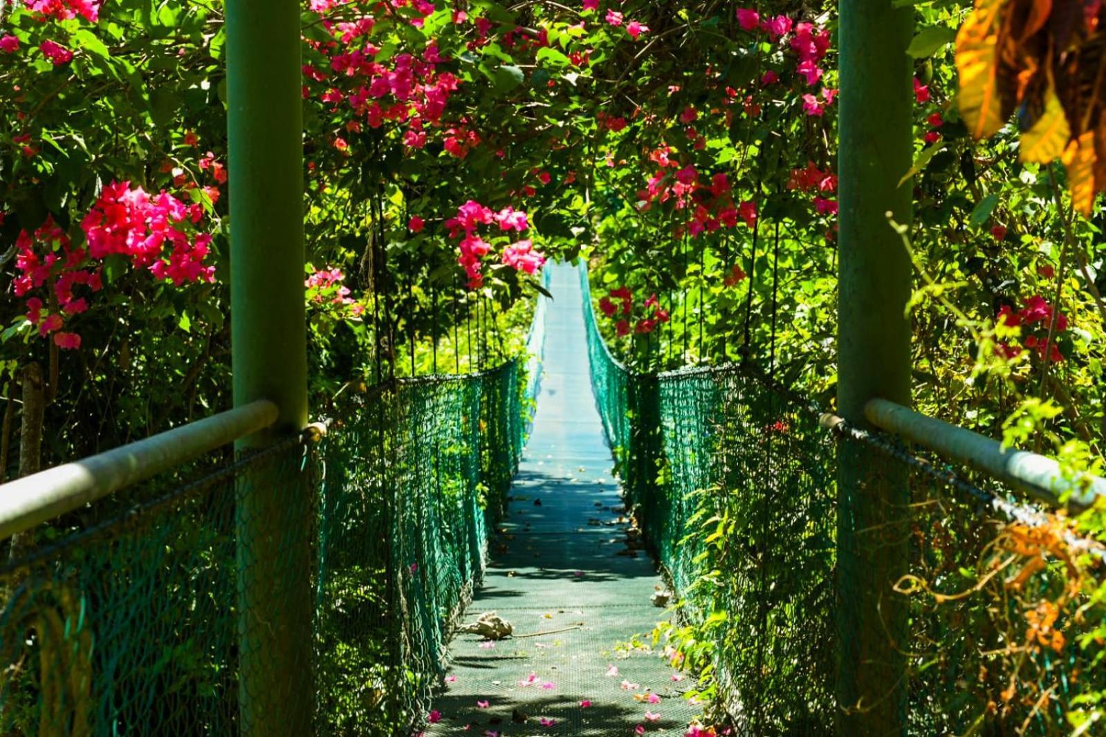 Sunshine Sanctuary Boutique Jungle Lodge มอนเตซูมา ภายนอก รูปภาพ
