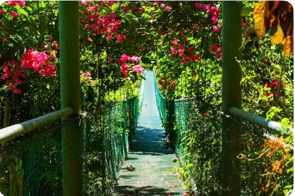 Sunshine Sanctuary Boutique Jungle Lodge มอนเตซูมา ภายนอก รูปภาพ