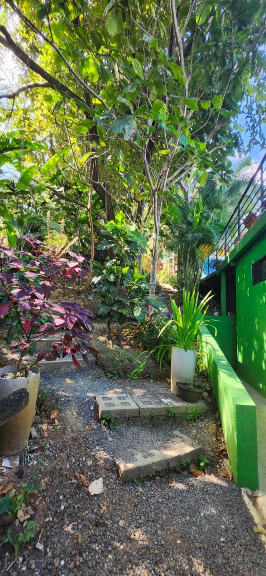 Sunshine Sanctuary Boutique Jungle Lodge มอนเตซูมา ภายนอก รูปภาพ