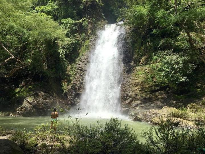 Sunshine Sanctuary Boutique Jungle Lodge มอนเตซูมา ภายนอก รูปภาพ